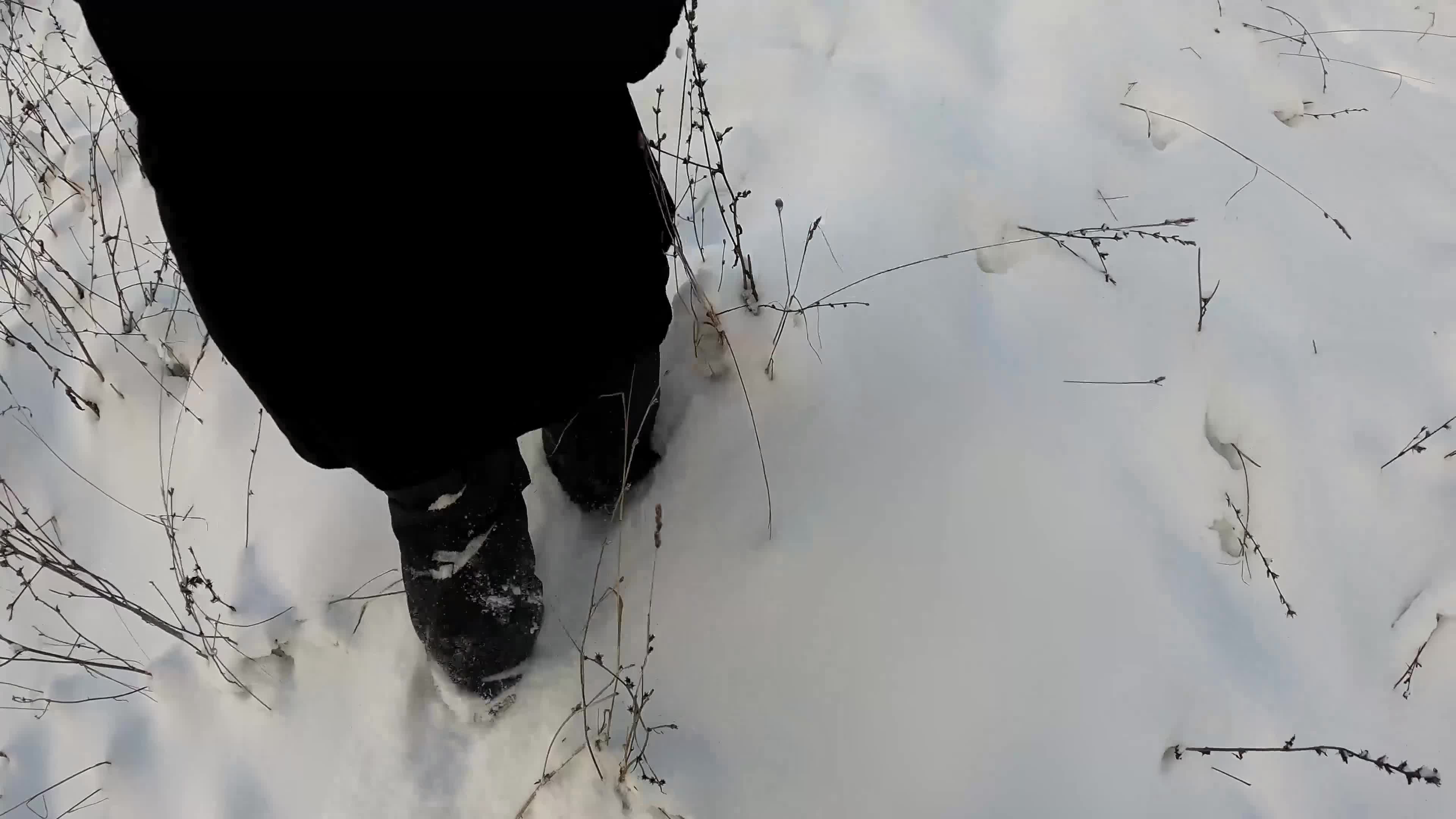 We Went for a Cold Hike in a Public Park I Warmed Him with a Hot Blowjob then Warmed Myself by Swallowing His Hot Cu