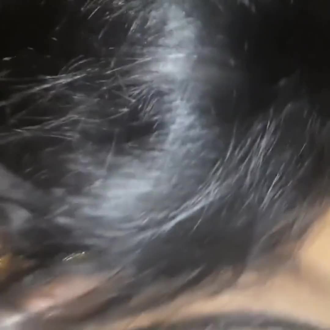 XXX Video Indian Desi Sex Girlfriend with Boyfriend First Time Sex Cum Cock