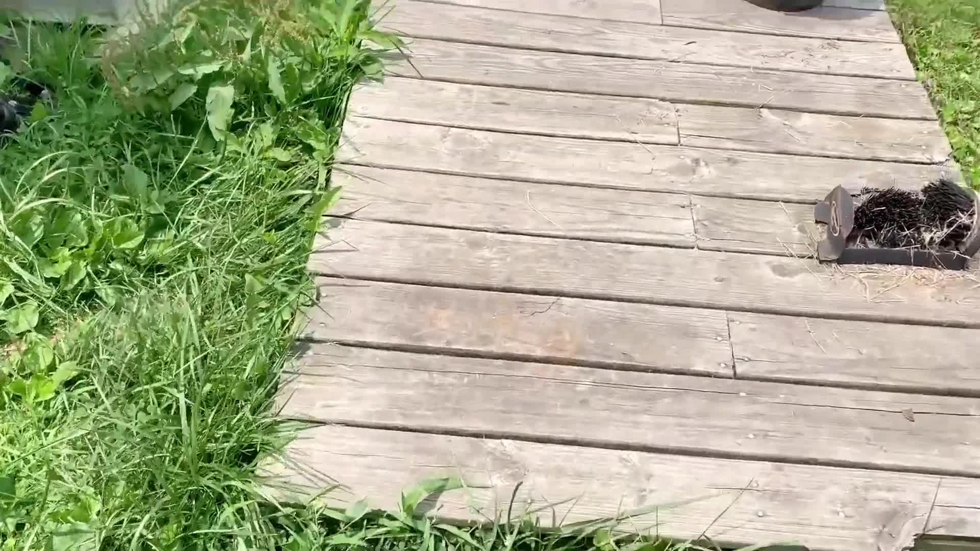 Wife Caught Cheating: Xxx Wife HD Porn Video b9