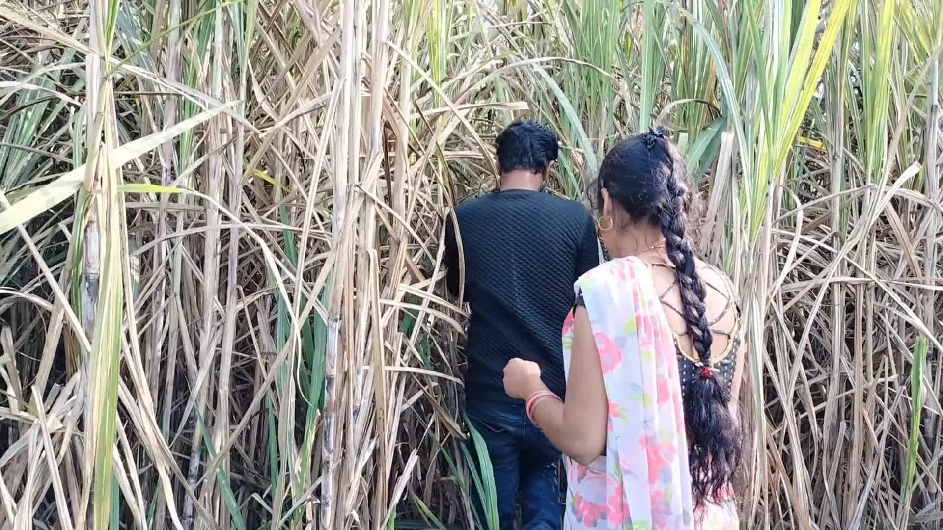 Bhai Bahan Ne Kiya Jungle Mein Mangal, HD Porn fd: